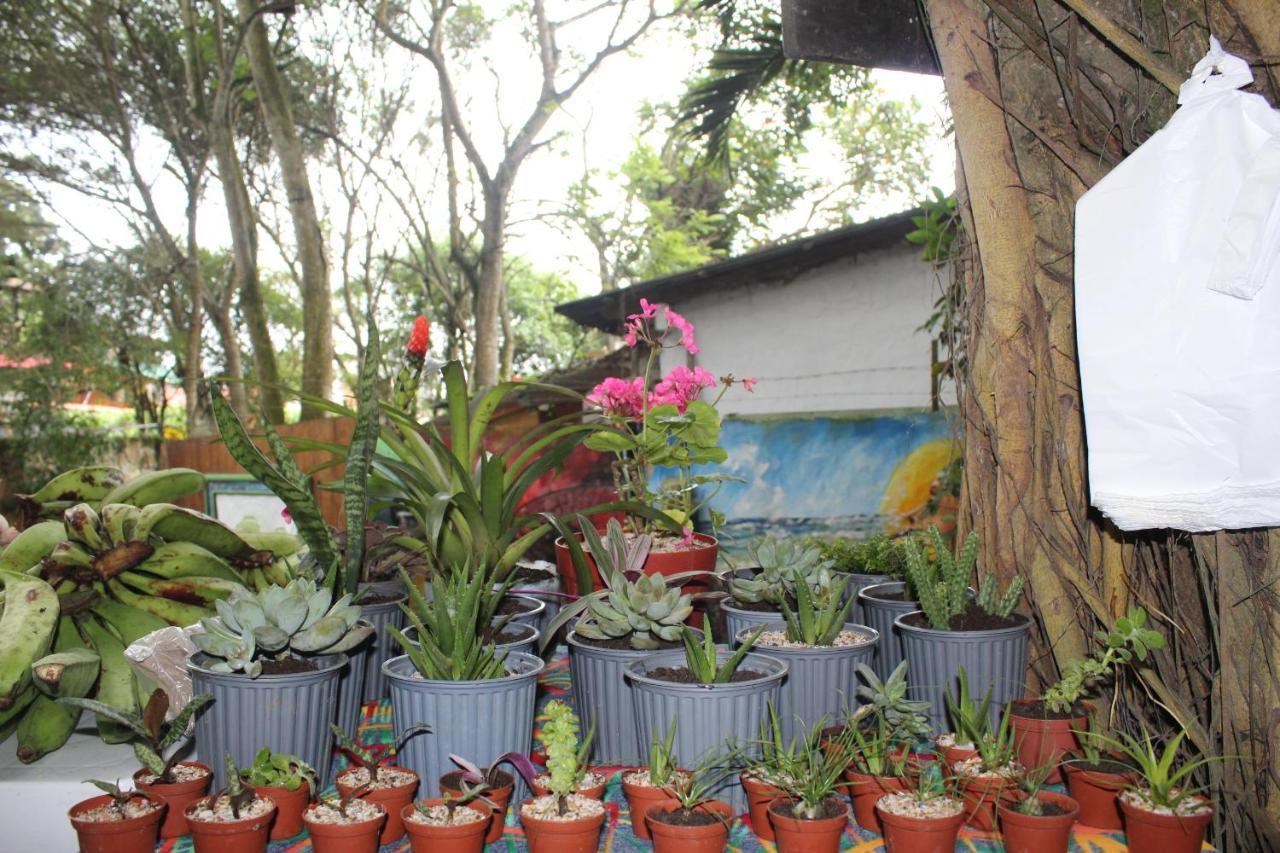 Nunkai Eco-Hostal La Punta Montañita Extérieur photo